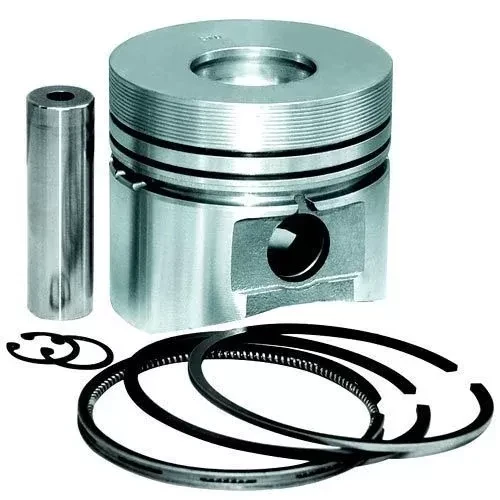 Piston and Piston Rings